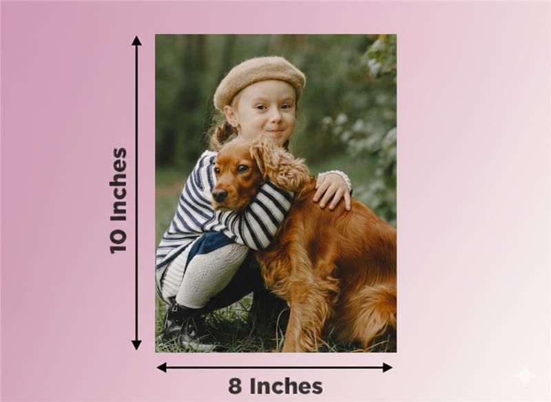Package D : Our Best Selling Package - Image 3